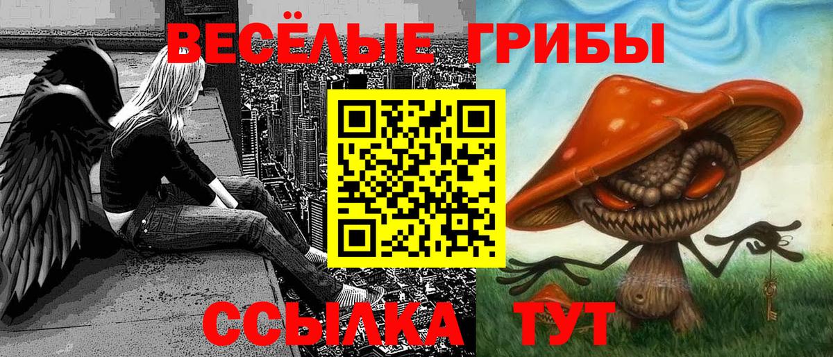 Галлюциногенные грибы прущие грибы  Вход с VPN  магазин    Бугуруслан 