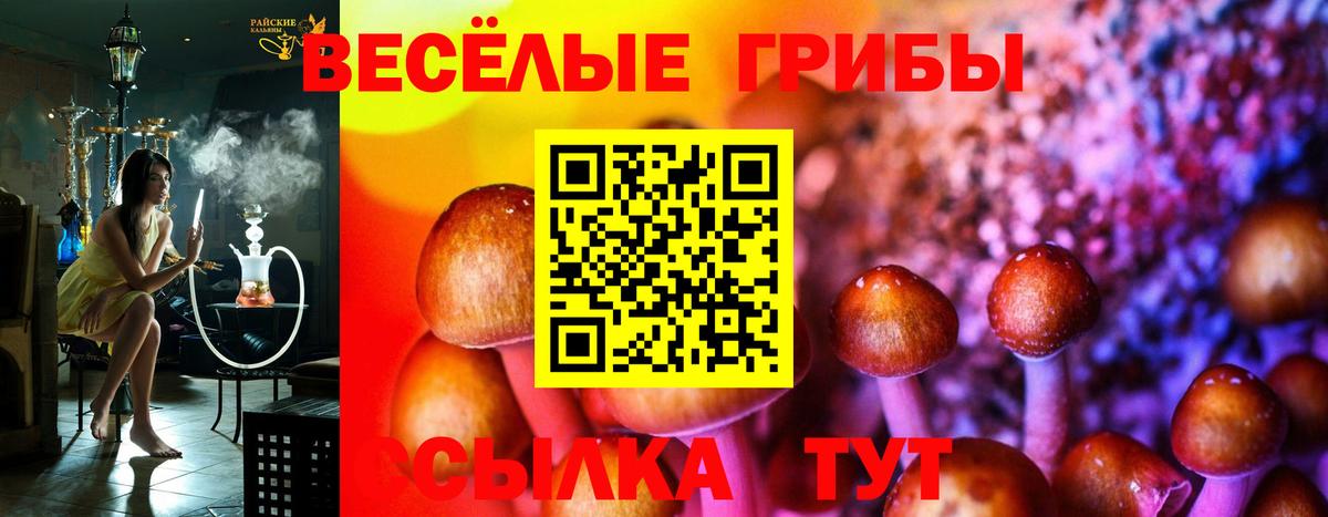 Галлюциногенные грибы Magic Shrooms Бугуруслан
